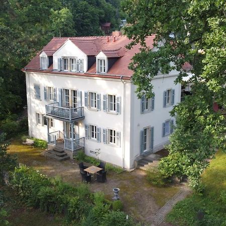 Villa Im Park Wachwitzgrund Dresden Exterior photo