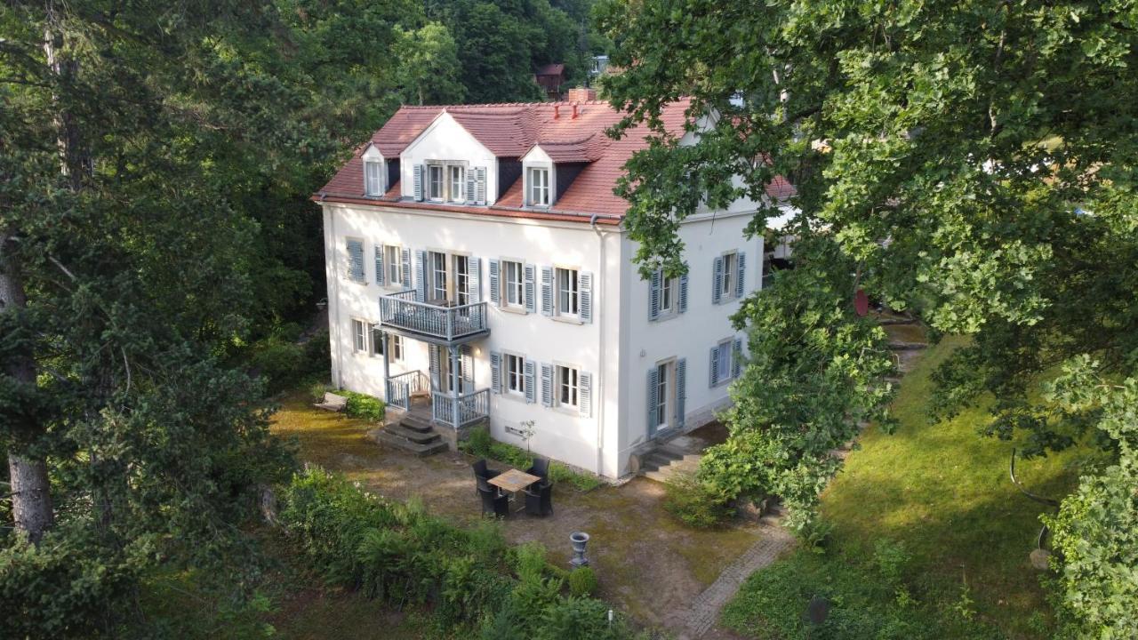 Villa Im Park Wachwitzgrund Dresden Exterior photo