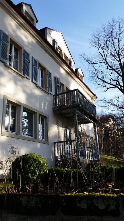Villa Im Park Wachwitzgrund Dresden Exterior photo