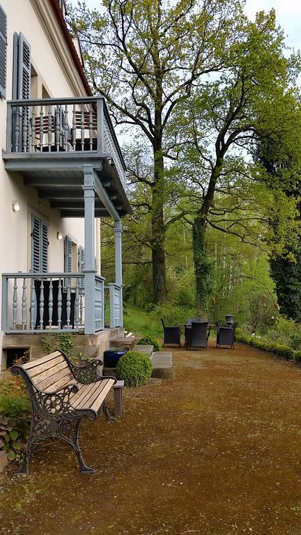Villa Im Park Wachwitzgrund Dresden Exterior photo