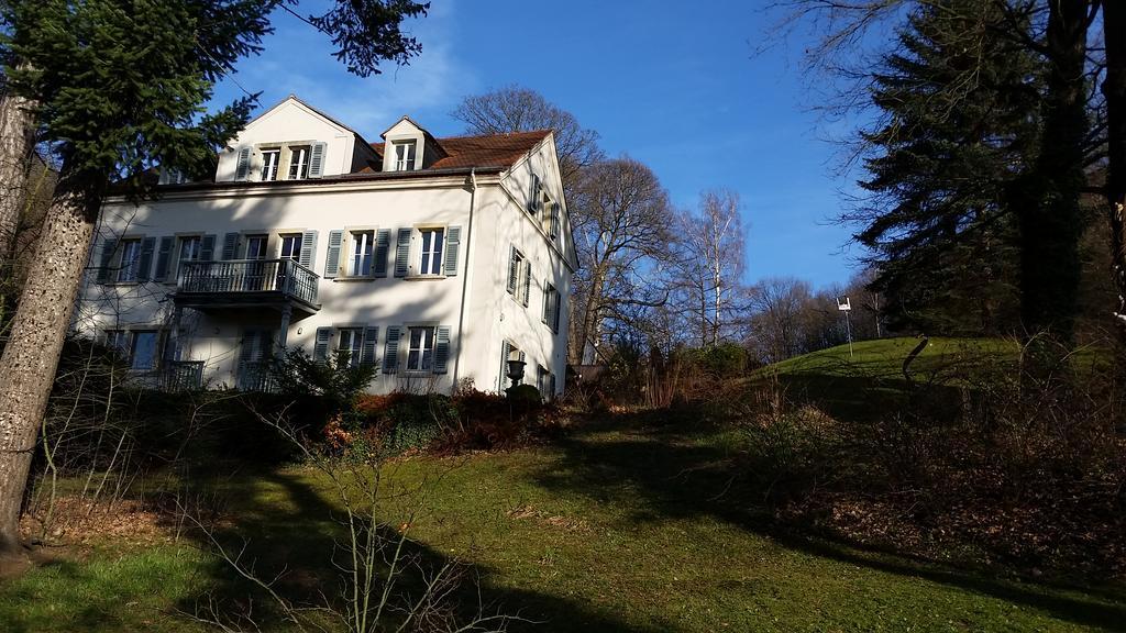 Villa Im Park Wachwitzgrund Dresden Exterior photo